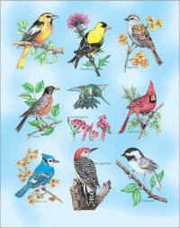 Bird-Owl-Butterfly-Stickers