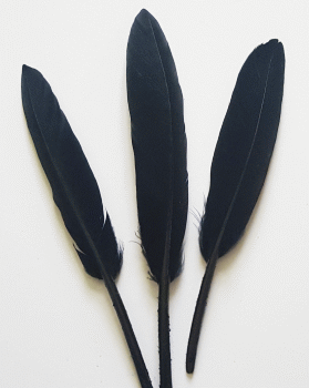 Black Cosse Duck Feathers - Bulk lb