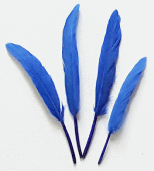Blue Cosse Duck Feathers - Bulk lb