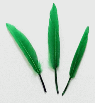 Green Cosse Duck Feathers - 1/4 lb Pkg