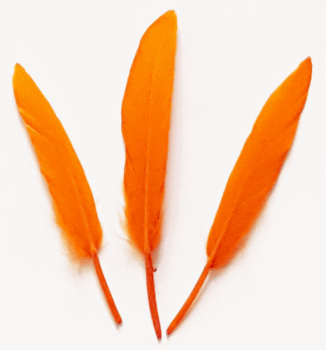 Orange Cosse Duck Feathers - 1/4 lb Pkg