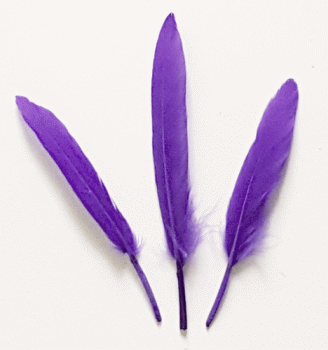 Purple Cosse Duck Feathers - 1/4 lb Pkg