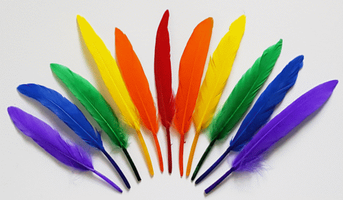 Rainbow Cosse Duck Feathers - 1/4 lb Pkg