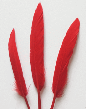 Red Cosse Duck Feathers - Bulk lb