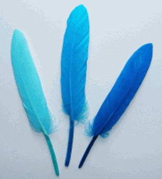Bulk Turquoise Mix Duck Cosse Craft Feathers - lb