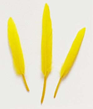 Yellow Cosse Duck Feathers - 1/4 lb Pkg