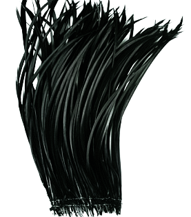 Strung Black Goose Biot Feathers - 1/4 lb