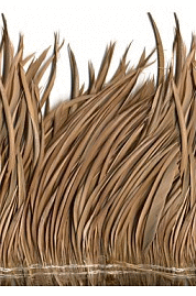 Strung Tan Goose Biot Feathers