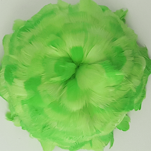 Strung Lime Goose Coquille Feathers
