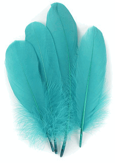 Aqua Goose Palette Feathers - 1/4 lb