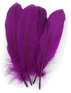 Berry Goose Palette Feathers - 1/4 lb
