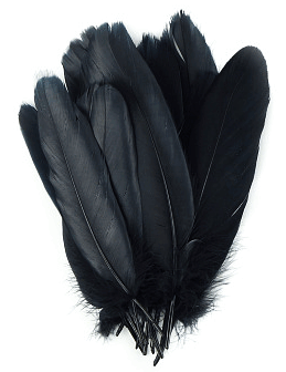 Black Palette Goose Feathers - 1/4 lb