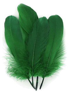 Green Palette Goose Feathers - 1/4 lb