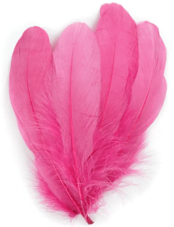 Hot Pink Palette Goose Feathers - 1/4 lb