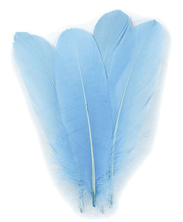 Light Blue Goose Palette Feathers - 1/4 lb