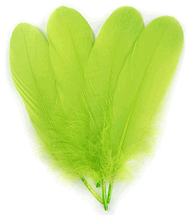 Lime Palette Goose Feathers - lb