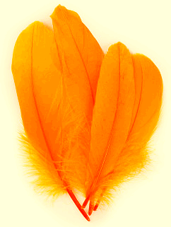 Mango Goose Palette Feathers - 1/4 lb