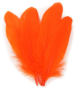 Orange Goose Palette Feathers - 1/4 lb