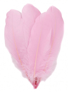 Pink Goose Palette Feathers - Mini Pkg