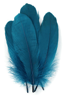 Teal Palette Goose Feathers - lb