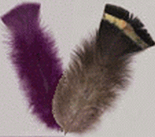 Turkey Flat Feathers