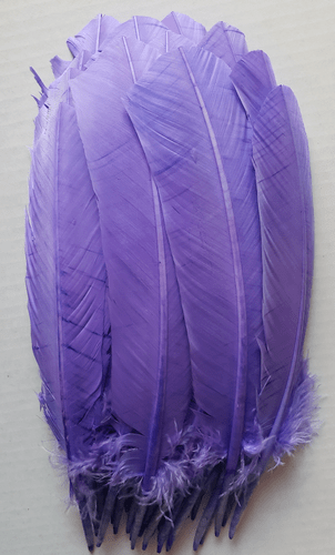 Periwinkle Turkey Quill Feathers - 1/4 lb ON SALE