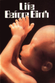 Life Before Birth Pamphlet