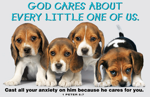 God Cares about Us Puppies Poster