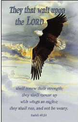Wings as Eagles Postcard