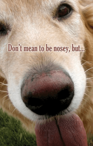 Dont mean to be Nosey Postcards