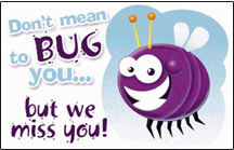 Dont Mean to Bug Postcard