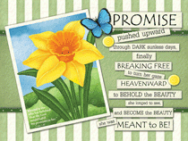 Promises to Her Postcard