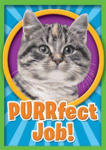 PURRfect Job Kitty Postcard - ONLY 8 LEFT