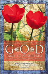 God in Ordinary Places Mini Poster