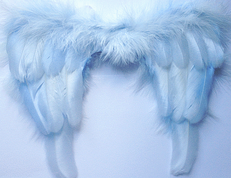 Baby Boy Angel Wings - Feathers Blue
