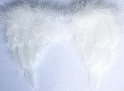 Baby Angel Wings - Feathered White