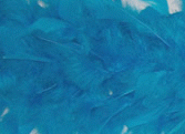 Chandelle Feather Boa - Turquoise Heavyweight