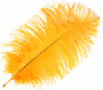 Gold Feather Color