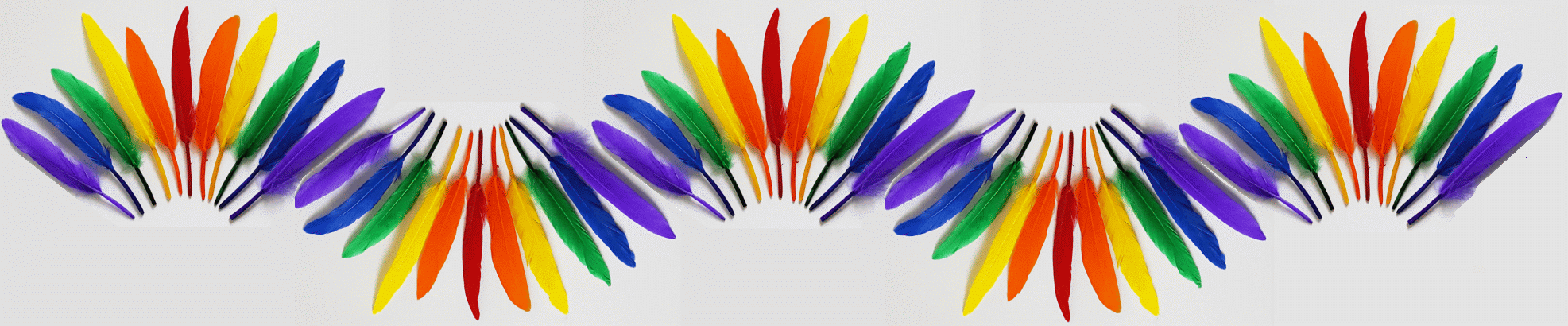 Rainbow Colored Small Cosse Duck Feathers