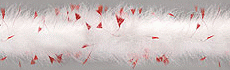 White with Red Tips Marabou Feather Boa