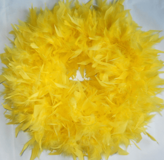 Pretty Yellow Feather Wreath