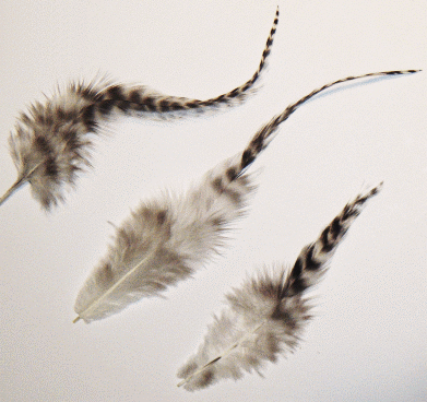 Natural Rooster Grizzly Feathers