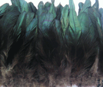 Strung Rooster Coque Tails - Half Bronze - Iridescent 1/4 lb