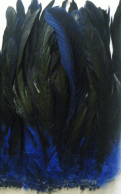 Strung Rooster Coque Tails - Half Bronze Blue 1/4 lb