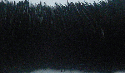 Strung Black Rooster Neck Hackles Feathers - 1/4 lb