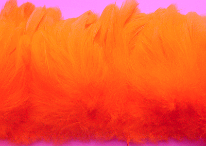 Strung Rooster Schlappen Feathers - Orange 1/4 lb