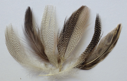 Grey Mix Duck Mallard Feathers - Mini Pkg - ONLY 2 LEFT