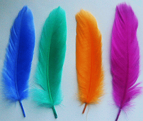 Jewel Goose Satinette Feathers