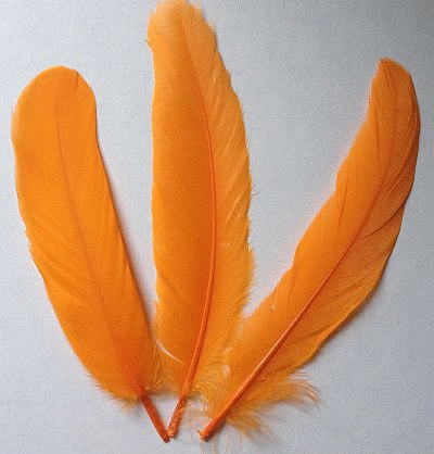 Bulk Mango Goose Satinette Feathers - Bulk 1/4 lb