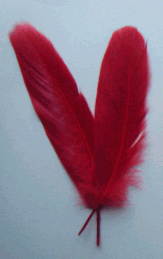 Red Goose Satinette Feathers